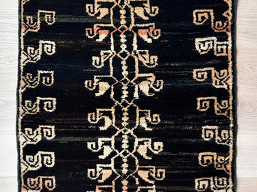 モダン・トゥル（N-205）の全体写真2